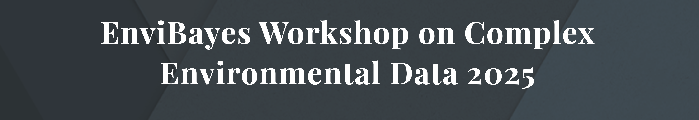 EnviBayes Workshop on Complex Environmental Data 2025